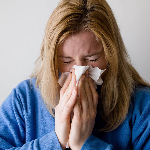 Vue interieure de la Pharmacie des Bruyères